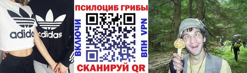 Псилоцибиновые грибы GOLDEN TEACHER  Ува 